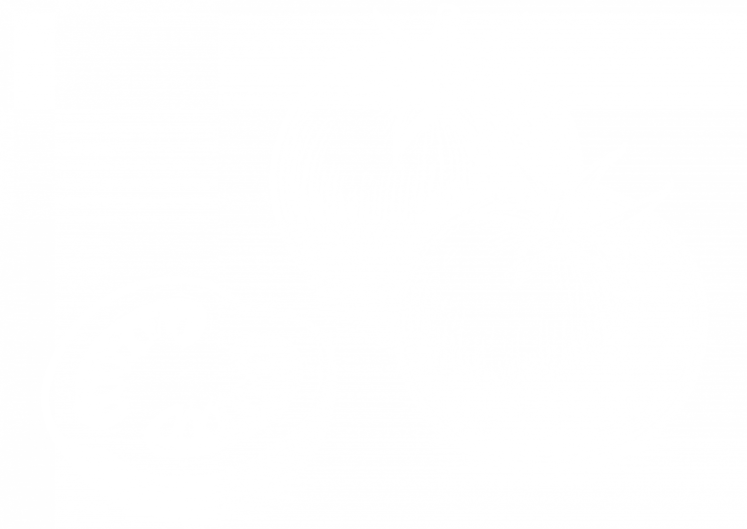 Trasgu2
